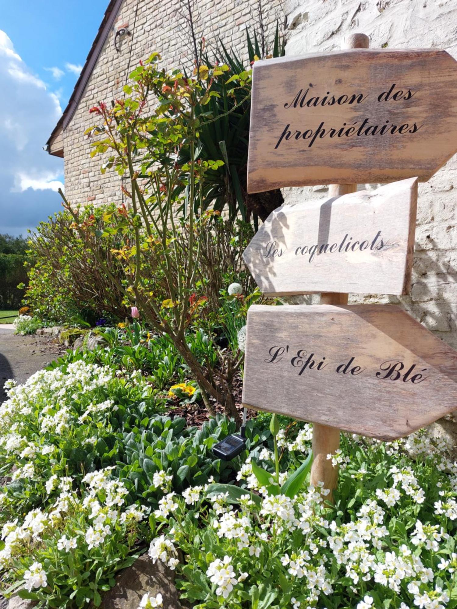 Les Coquelicots Villa Lacres Rom bilde
